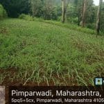 Pimparwadi Ambe