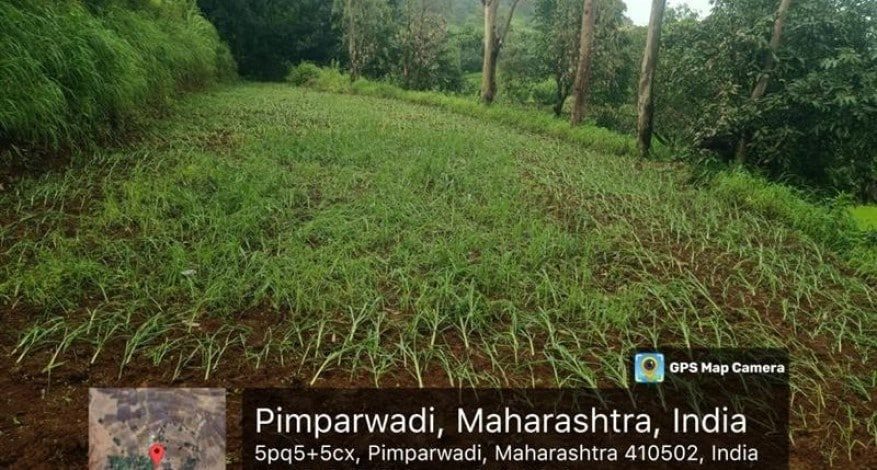 Pimparwadi Ambe